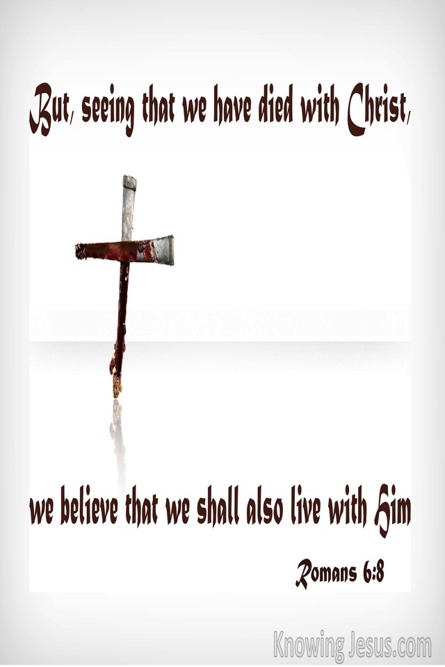 Romans 6:8 We Died With Christ And Shall Live With Him (white)